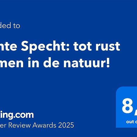 Bonte Specht: Tot Rust Komen In De Natuur! Otterlo Zewnętrze zdjęcie