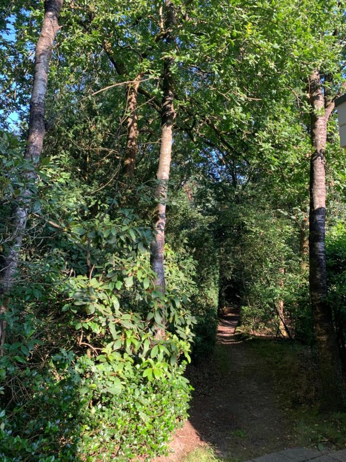 Bonte Specht: Tot Rust Komen In De Natuur! Otterlo Zewnętrze zdjęcie