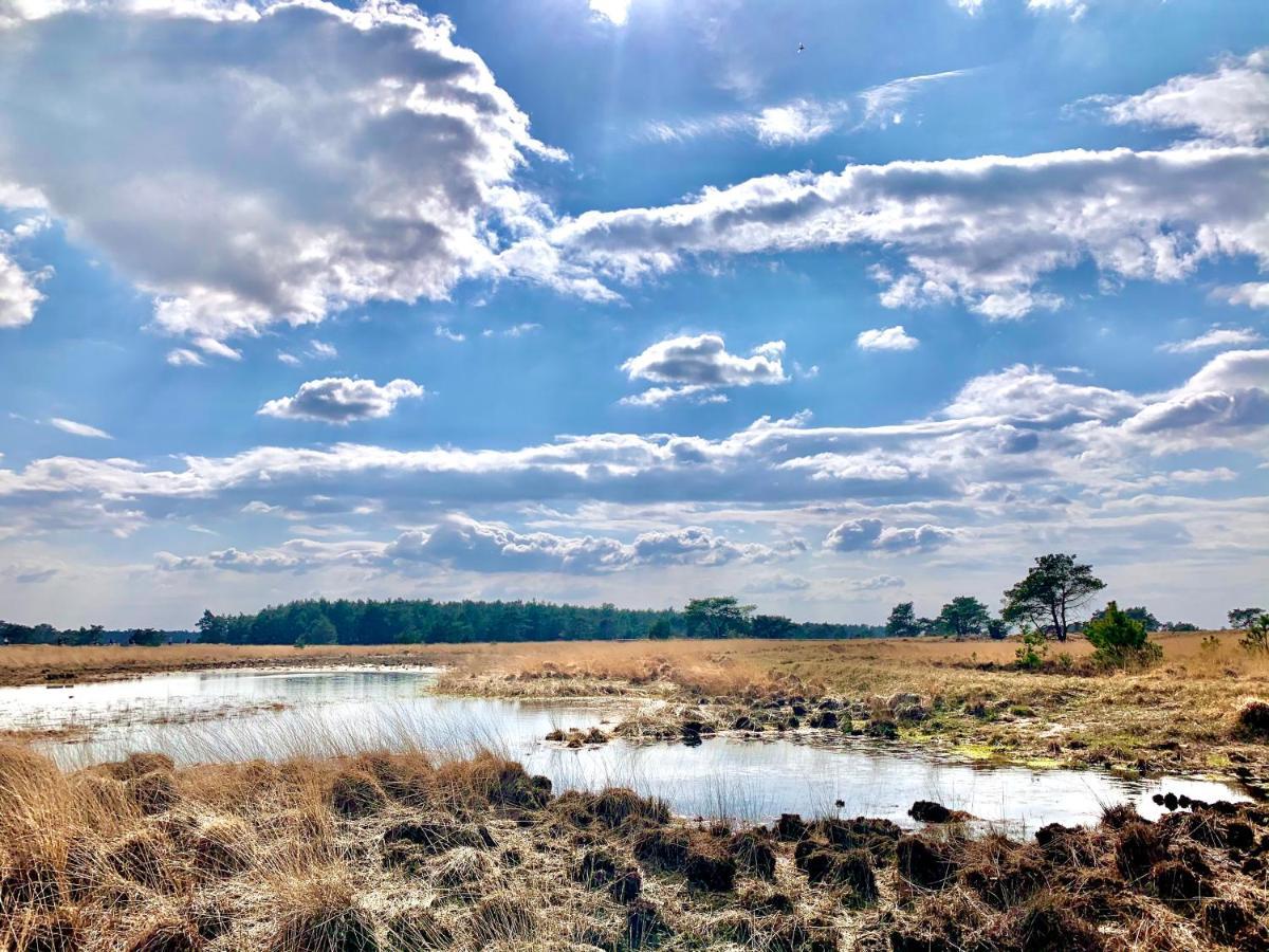 Bonte Specht: Tot Rust Komen In De Natuur! Otterlo Zewnętrze zdjęcie