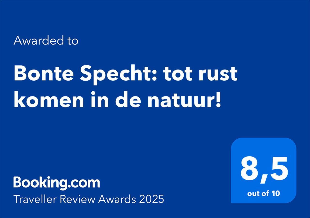 Bonte Specht: Tot Rust Komen In De Natuur! Otterlo Zewnętrze zdjęcie